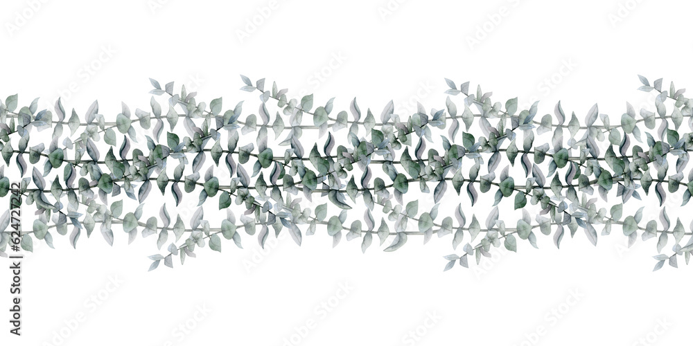 Floral eucalyptus seamless border with silver dollar branches on white background. Elegant botanical green watercolor illustration