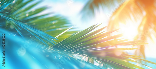 Abstract blur defocused background, toned gently blue, nature of tropical summer, rays of sun light