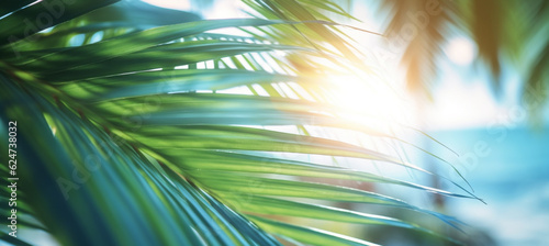 Abstract blur defocused background, toned gently blue, nature of tropical summer, rays of sun light