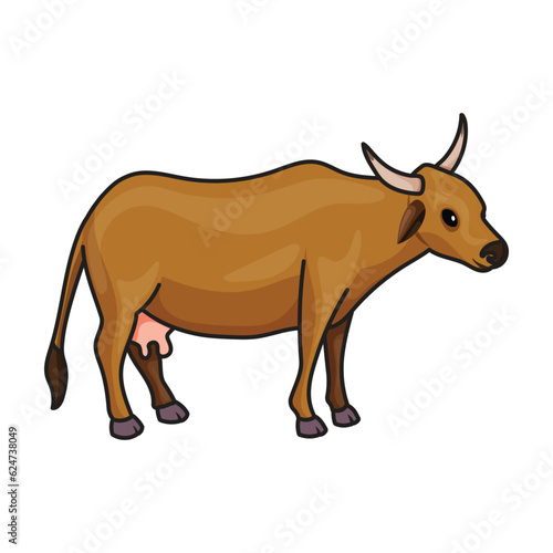 Cow of animal vector icon.Color vector icon isolated on white background cow of animal.
