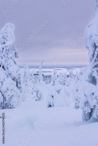 winter landscape with snow © Artem