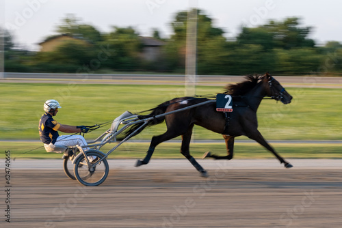 Trotting racehorses and rider on a stadium track. Competitions for trotting horse racing. Horses compete in harness racing. Horse running on the track with the rider. Motion blur-Panning. 
