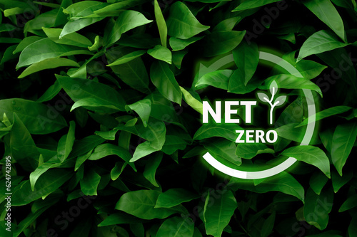 Neutral and net zero fresh air concept natural environment Climate-neutral long-term strategy Emissions target with green mesh icon centered on hand cover and green background.