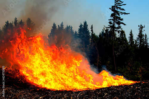 Wildfire. Wildfire in Greece. Forest fire. Forest fire in progress. Fire. Large flames. Maui. British Columbia. Canada. Athens. Evros. Parnitha. Dadia. Alexandroupolis. Rodopi. Mount Parnitha. Andros. photo