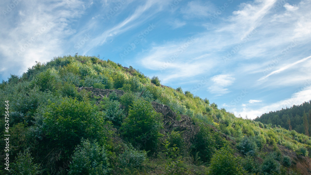Monte verde boscoso bajo cielo azul