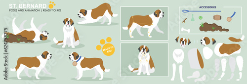 Cute Big dog St. Bernard dog breed vector collection of poses and accessories ready to rig for animation. Animated dog walking sitting character