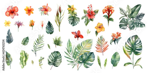 Tropical flowers, jungle leaves, monstera leaf, hibiscus, bird of paradise flower, plumeria, orchid, strelitzia.