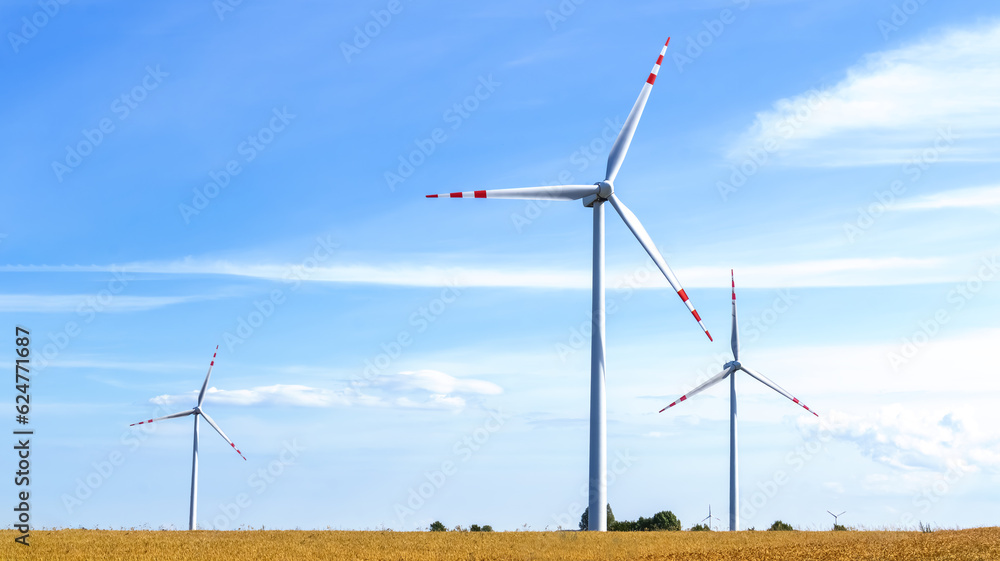 Fototapeta premium Green energy production using wind turbines placed on a wheat field against the sky