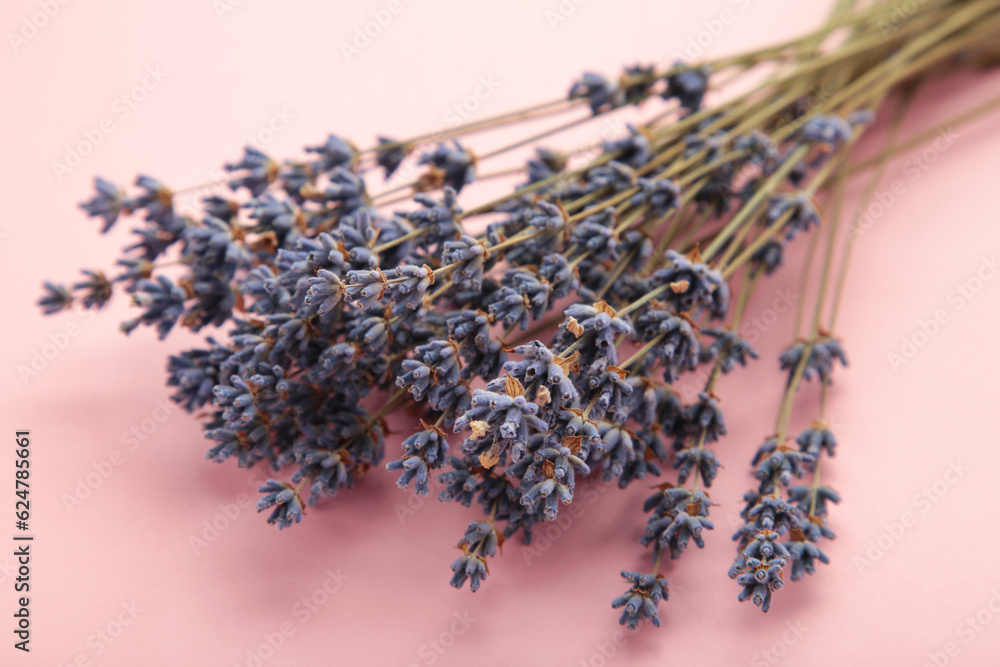Small bouquet of a dried lavender on pink background. Small bouquet of a dried lavender on pink background.