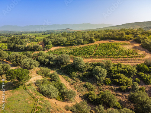 Obraz na płótnie Aerial View ofVineyards in Rioja, Spain w salonie