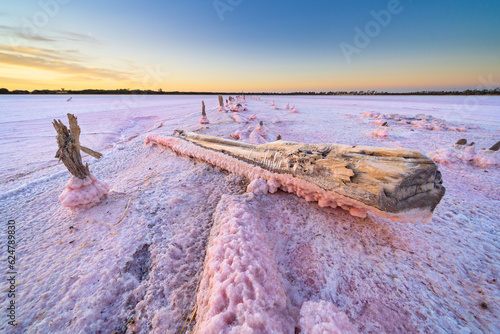 Low wide angled view of encrusted fence posts embedded in a pink salt lake at sunset photo