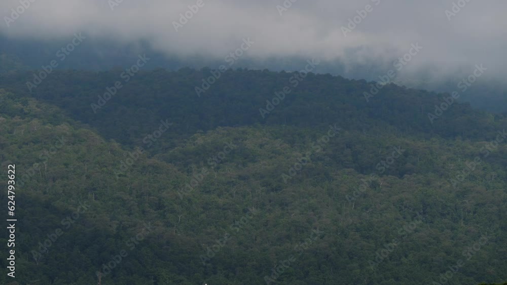 Fast speed close up b-roll scene of shadow from cloudy sky moving pass forest trees on the mountain, nature dynamic movement of shade and light on ground when cloud moving in rainy season Fast speed close up b-roll scene of shadow from cloudy sky moving pass forest trees on the mountain, nature dynamic movement of shade and light on ground when cloud moving in rainy season