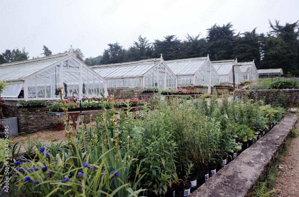 plant nursery view