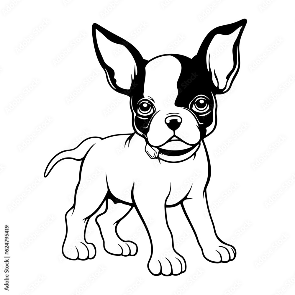 Coloring page outline of cartoon smiling cute little dog, Summers coloring book for kids, Colorful vector illustration, Cartoon cute puppy coloring page for Kids, Boston Terrier