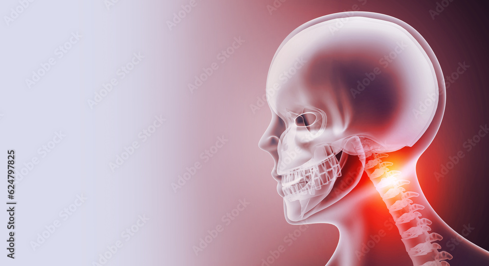 Neck pain, Highlighted spine of Skelton with x-ray view. Medical concept. 3d illustration