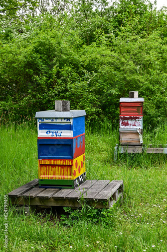 Hölzerne Bienenkisten oder Bienenstockkästen für die Bienenzucht und das Sammeln von Honig auf einer grünen Wiese und grüner Hecke photo