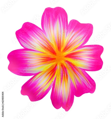 Fototapeta Naklejka Na Ścianę i Meble -  Watercolor, handmade, isolated, pink tropical flower, white background