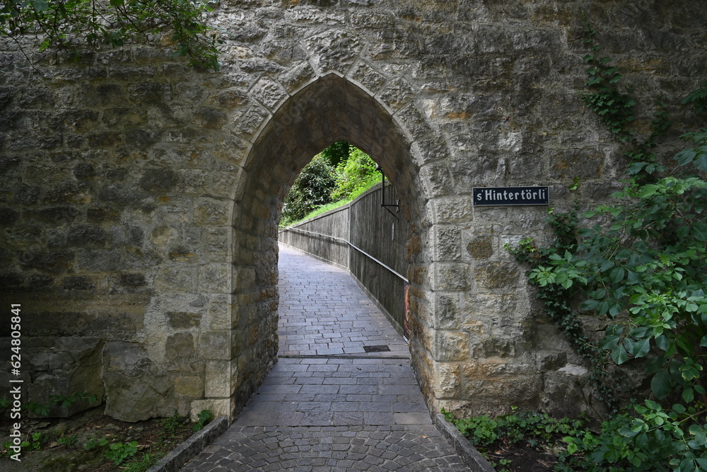 Stone wall with a pointed arch passage. On the background there is a path and railings. The path leads to wood. On the stone wall there is a shield with the street name, it is called s' Hintertörli. 
