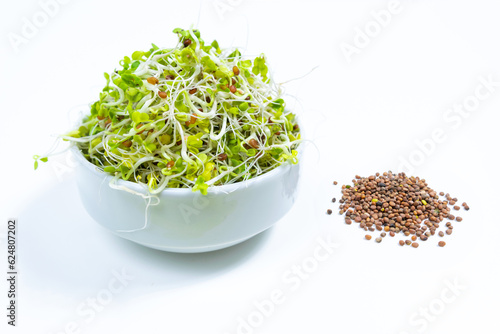 Young green radish microgreen sprouts with roots, grown for food in bowl. Near brown seeds. Concept of growing greens for healthy eating, vegetarianism, wholesome foods and veganism photo