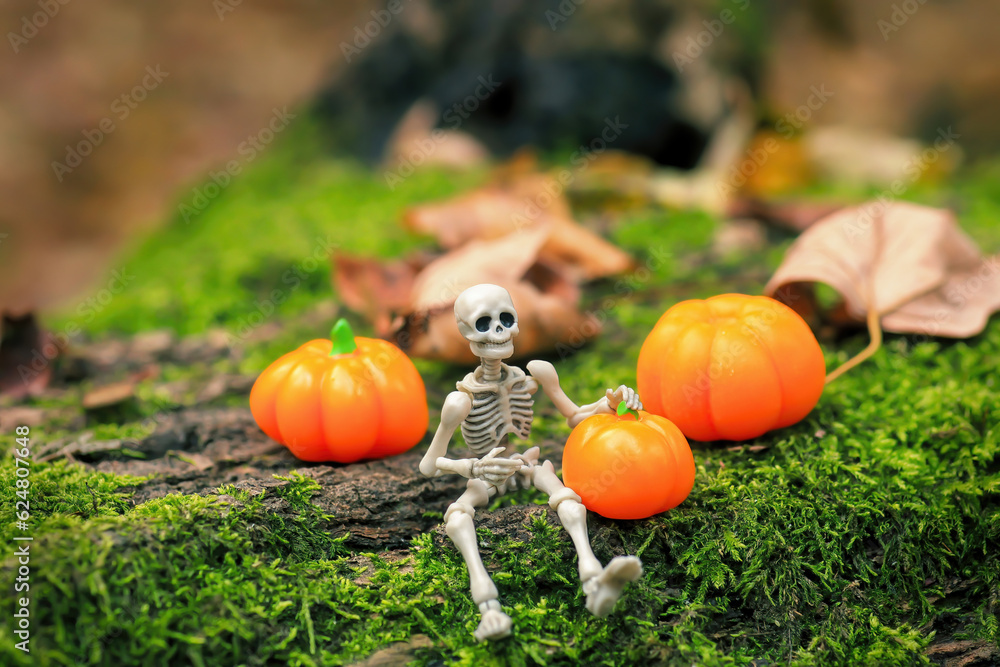 Skeleton figurine sits on green moss and orange pumpkins in garden, Halloween decor Skeleton figurine sits on green moss and orange pumpkins in garden, Halloween decor