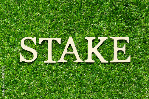 Wood letter in word stake on green grass background