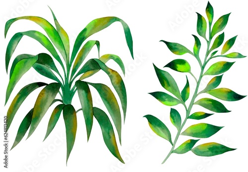 Watercolor leaves elements  white background  green foliages  isolated  tropical  handmade