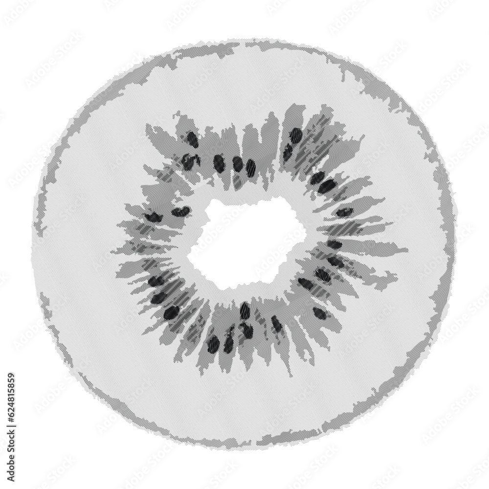 Kiwi slice hand drawn engraving style. Black stroke fruit on white background. Vector illustartion. Kiwi slice hand drawn engraving style. Black stroke fruit on white background. Vector illustartion.