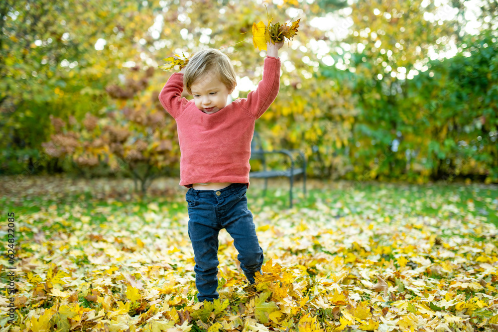 Funny toddler boy having fun outdoors on sunny autumn day. Child exploring nature. Kid playing in a city park. Autumn activities for kids. Funny toddler boy having fun outdoors on sunny autumn day. Child exploring nature. Kid playing in a city park. Autumn activities for kids.