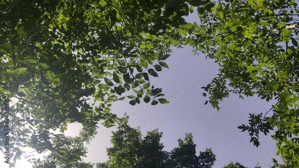 La combinazione tra la calda luce solare e la fresca brezza rende l'atmosfera perfetta per avventurarsi in attività all'aperto come escursioni, arrampicate o semplicemente per godersi la natura