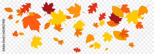 Autumn falling leaves isolated on white background. Autumn maple and oak leaves.