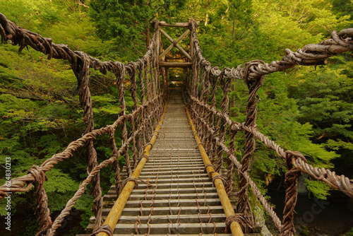 山奥の吊り橋 photo