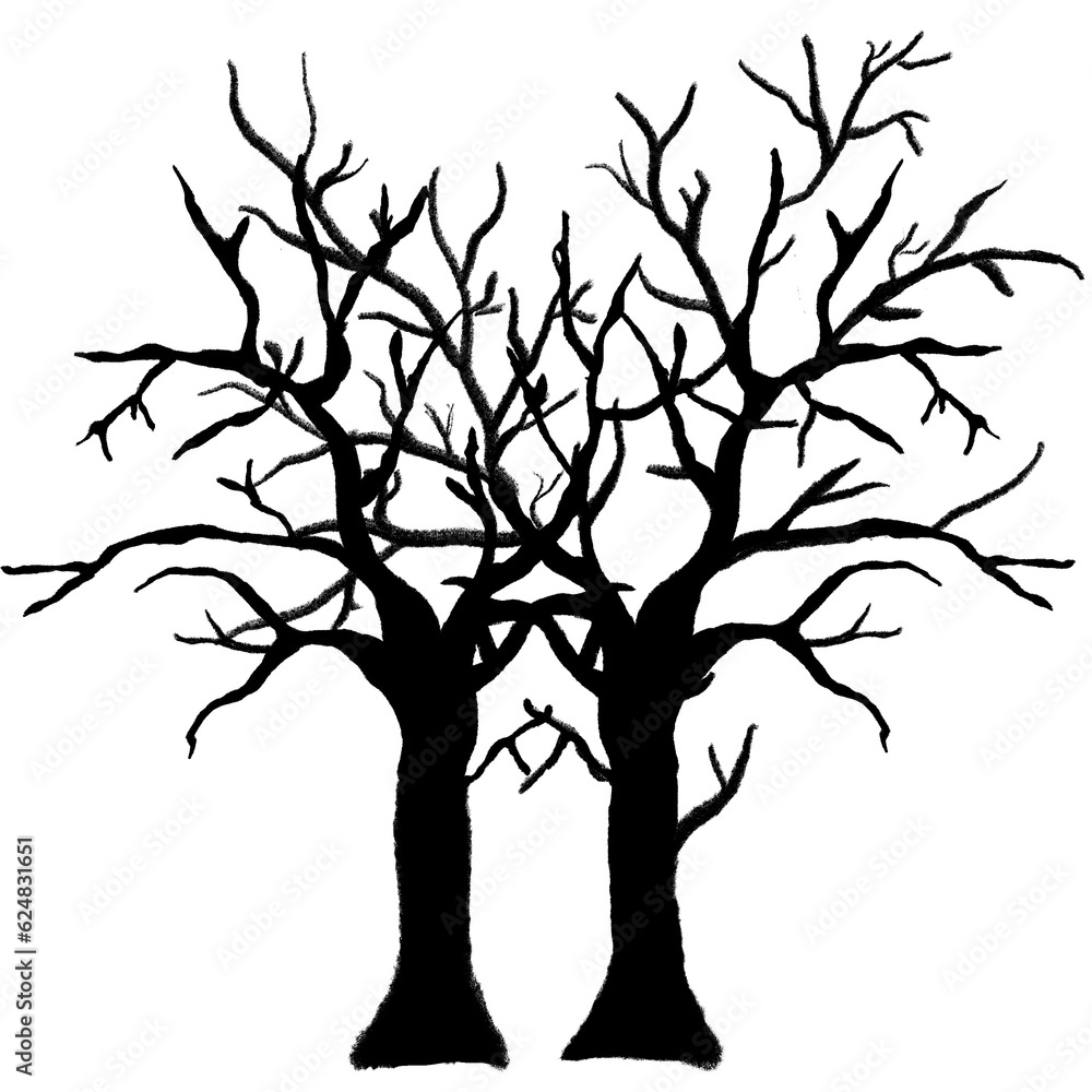 Fototapeta premium tree with roots