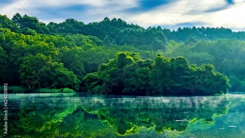 07_早朝の森と朝もやの漂う湖畔で羽ばたく水鳥(4K)右移動