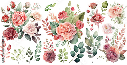 Set of Rose flower soft pink and red color Watercolor, spring collection of hand drawn flowers , Botanical plant illustration , elegant watercolor ,transparent background, PNG.