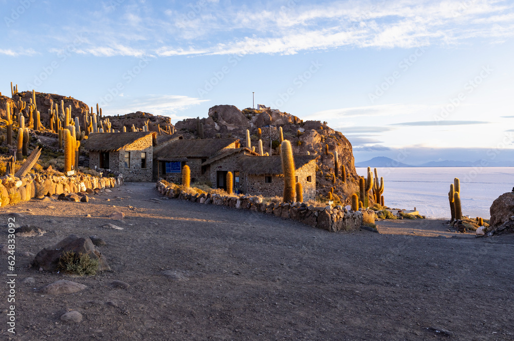 Isla Incahuasi at sunset with view on the biggest salt lake in the world, the Salar de Uyuni in the Bolivian highlands, the Altiplano in South America Isla Incahuasi at sunset with view on the biggest salt lake in the world, the Salar de Uyuni in the Bolivian highlands, the Altiplano in South America