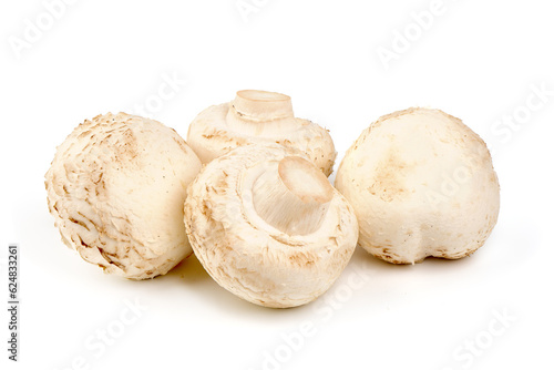 Champignons, close-up, isolated on white background.