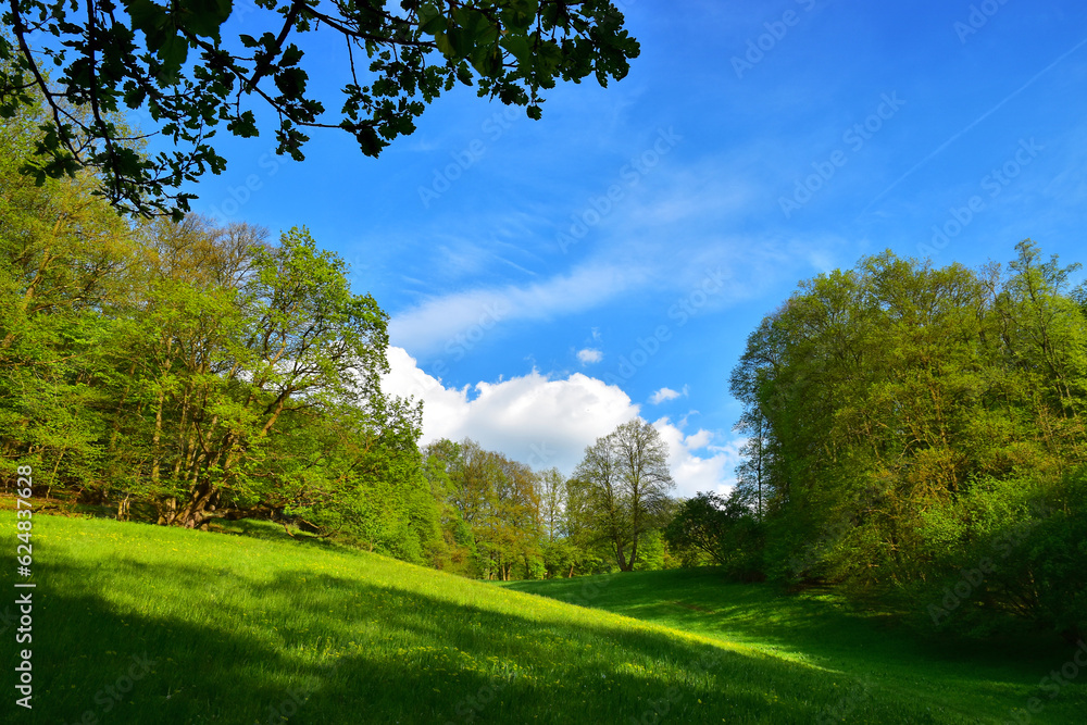 Geen landscape nature spriung forest Geen landscape nature spriung forest