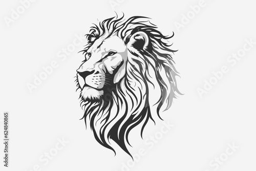 head of lion © Wemerson