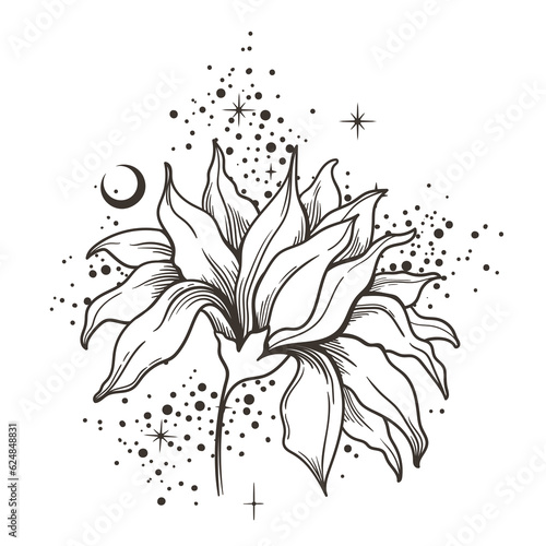 Mystical cosmic flower and crescent moon, black and white celestial magic plant hand drawn vector illustration