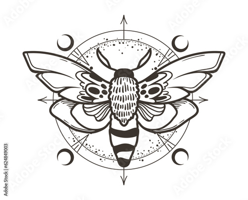 Mystical celestial night moth clipart in black color, magic lunar insect and moon silhouettes in vector, unreal hand drawn butterfly, isolated element