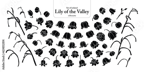 Cute hand drawn isolated silhouatte of lily of the valley.