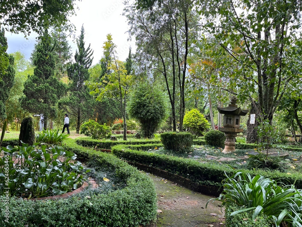 beautiful and tranquil garden