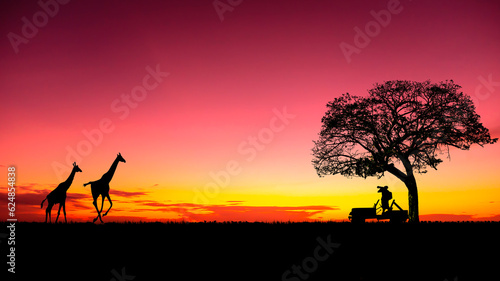 Amazing sunset and sunrise.Panorama silhouette tree in africa with sunset. dramatic sunrise.Safari.