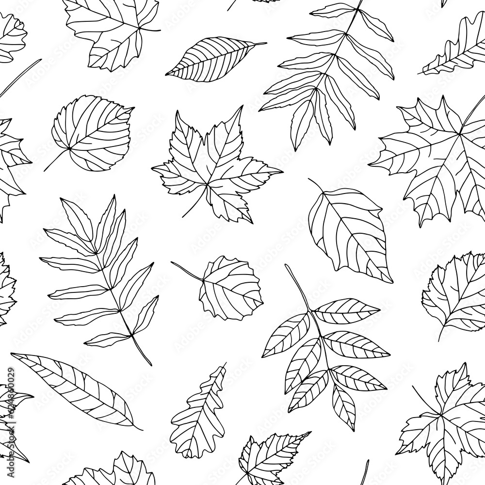 Seamless background with falling tree leaves on white background. Simple outline drawing with black line. Hand drawn. Natural design for fabric, cover, wrapping paper. 