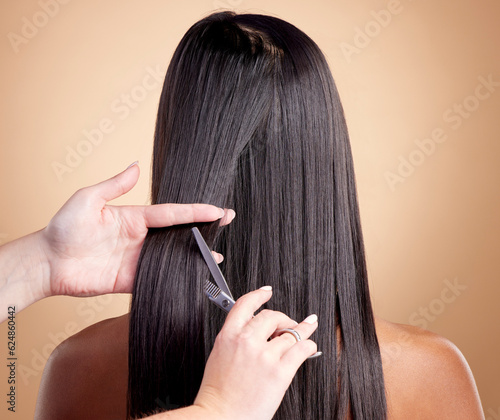 Foto Back view, hands cut hair and woman, beauty and shine, cosmetic care isolated on studio background