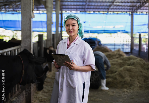 Young Asian animal husbandwoman working collecting animal datas in Dairy Farming