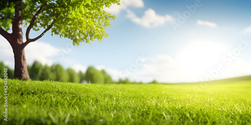 Beautiful blurred green grass and blue sky background. Generative AI.