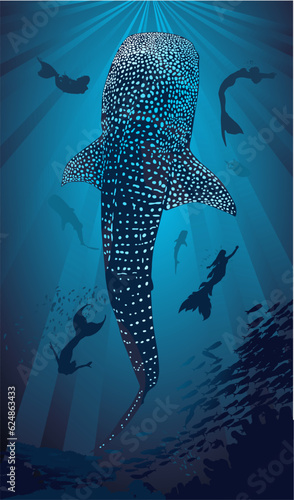 tiburon ballena, sirenas, mar, oceano, azul, fondo marino