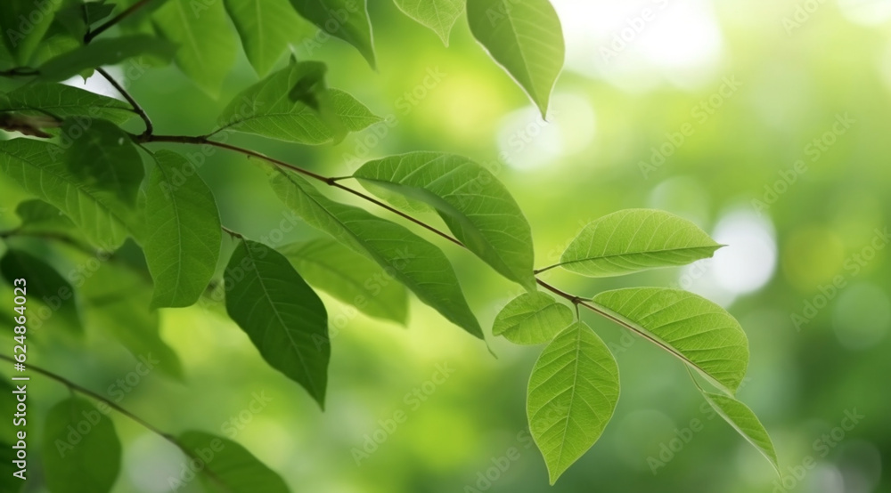 Closeup beautiful view of nature green leaves on blurred greenery tree background Closeup beautiful view of nature green leaves on blurred greenery tree background