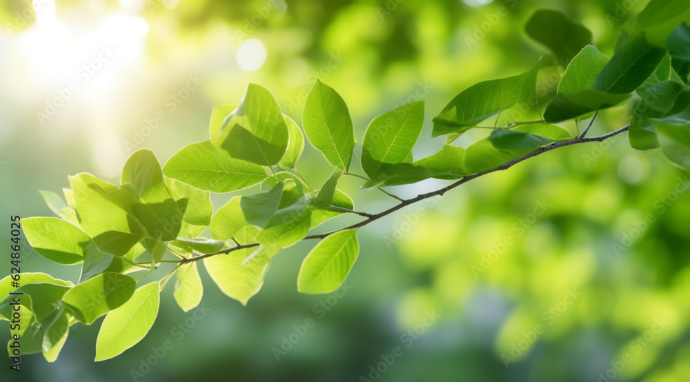 Closeup beautiful view of nature green leaves on blurred greenery tree background Closeup beautiful view of nature green leaves on blurred greenery tree background